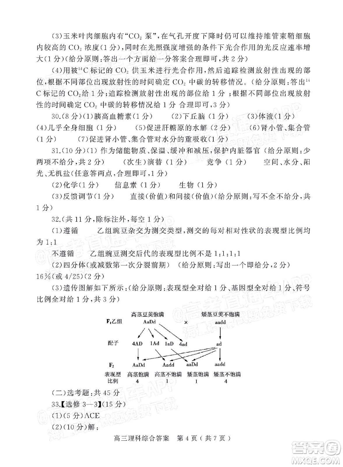 2022年河南省六市高三第一次聯(lián)合調研檢測理科綜合試題及答案