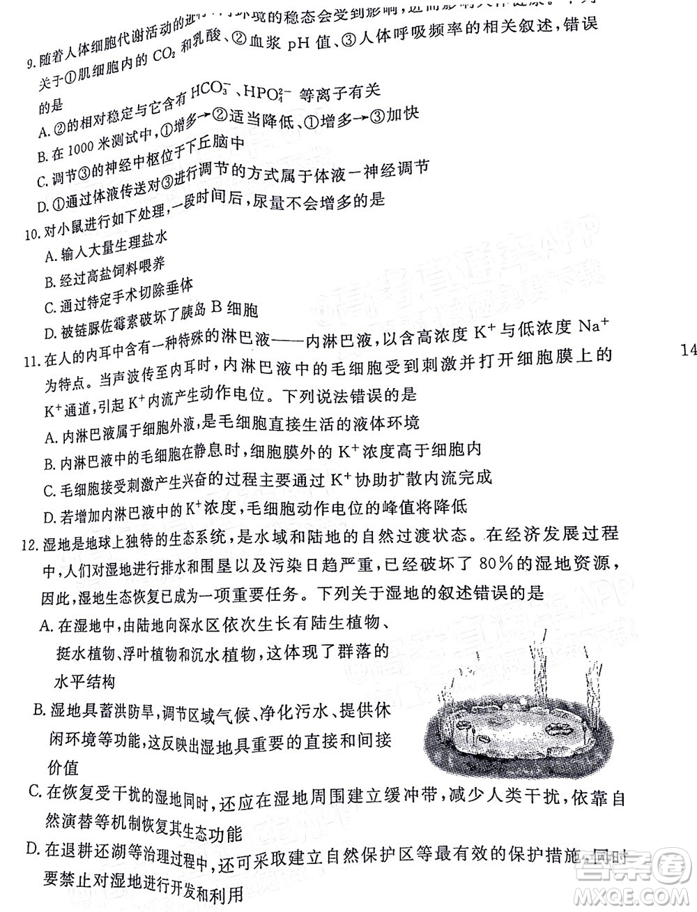 湛江市2022年普通高考測試一生物試題及答案