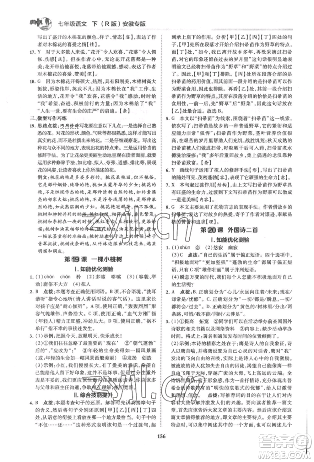 吉林教育出版社2022典中點綜合應用創(chuàng)新題七年級語文下冊人教版安徽專版參考答案