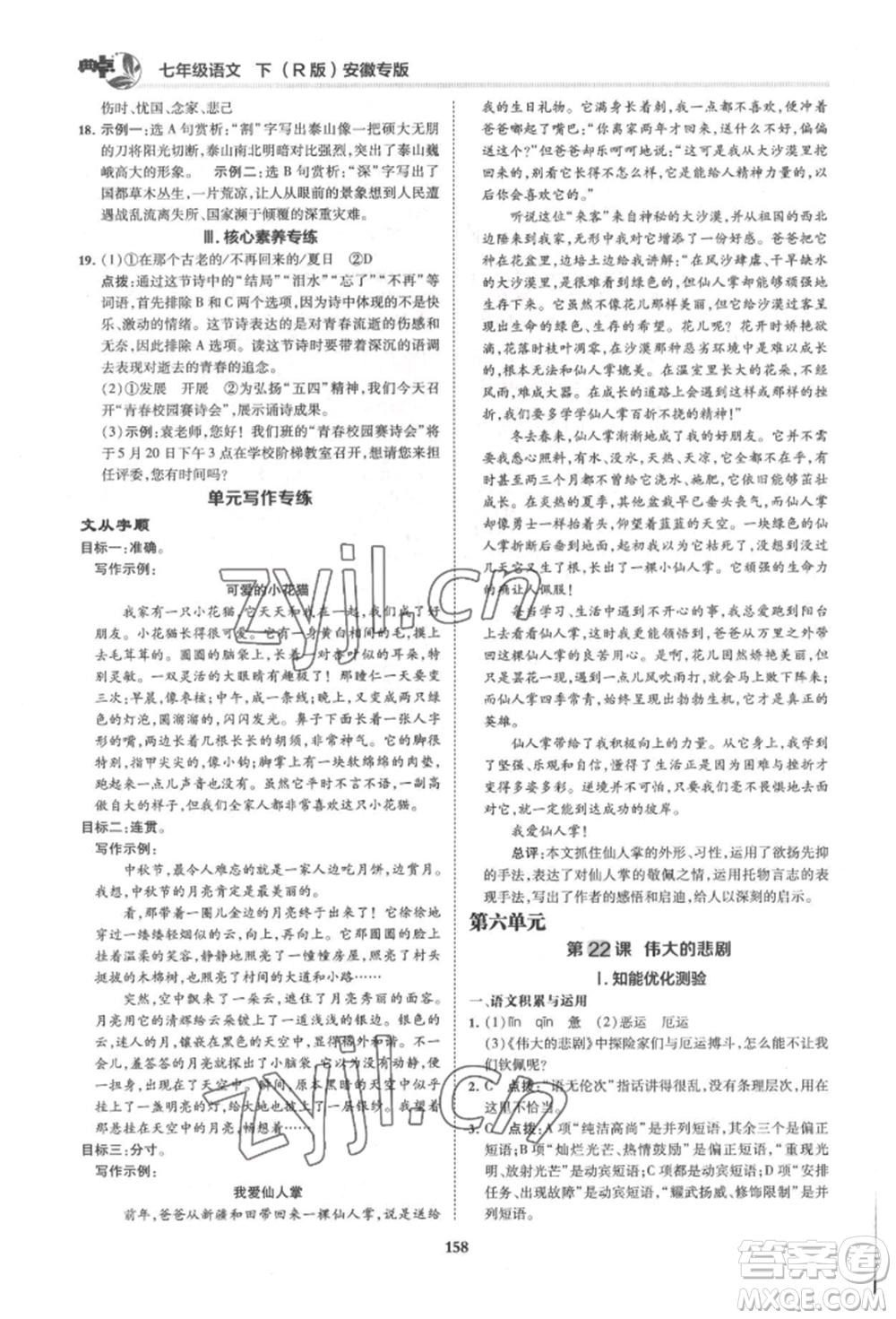 吉林教育出版社2022典中點綜合應用創(chuàng)新題七年級語文下冊人教版安徽專版參考答案