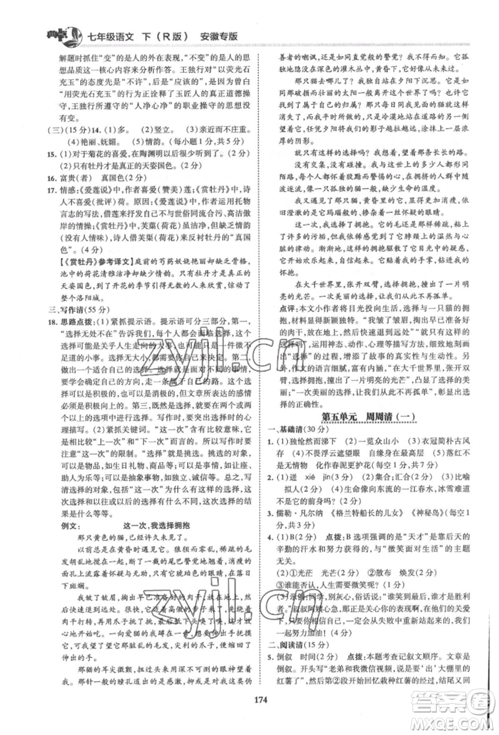 吉林教育出版社2022典中點綜合應用創(chuàng)新題七年級語文下冊人教版安徽專版參考答案