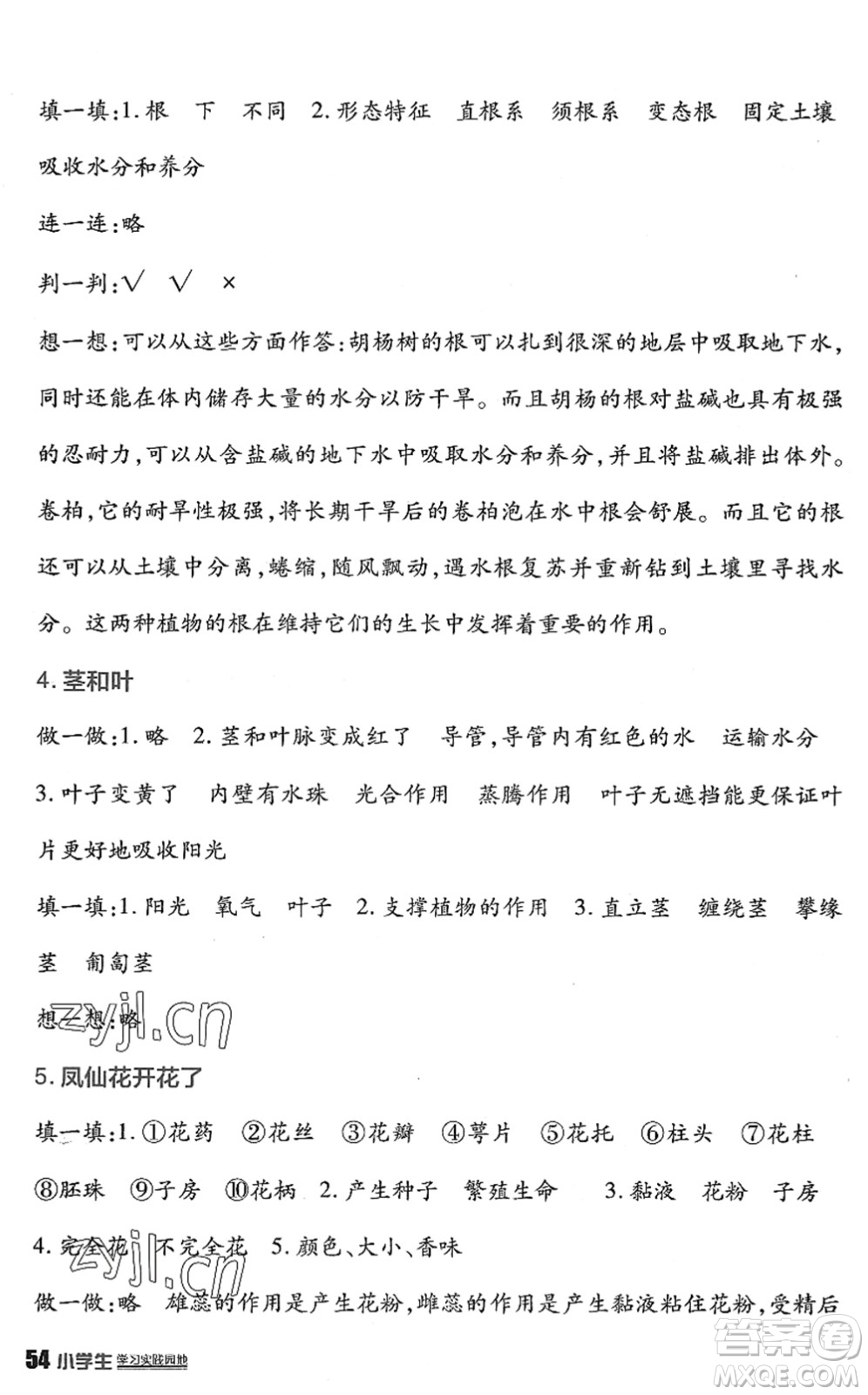 四川教育出版社2022新課標小學生學習實踐園地四年級科學下冊教科版答案