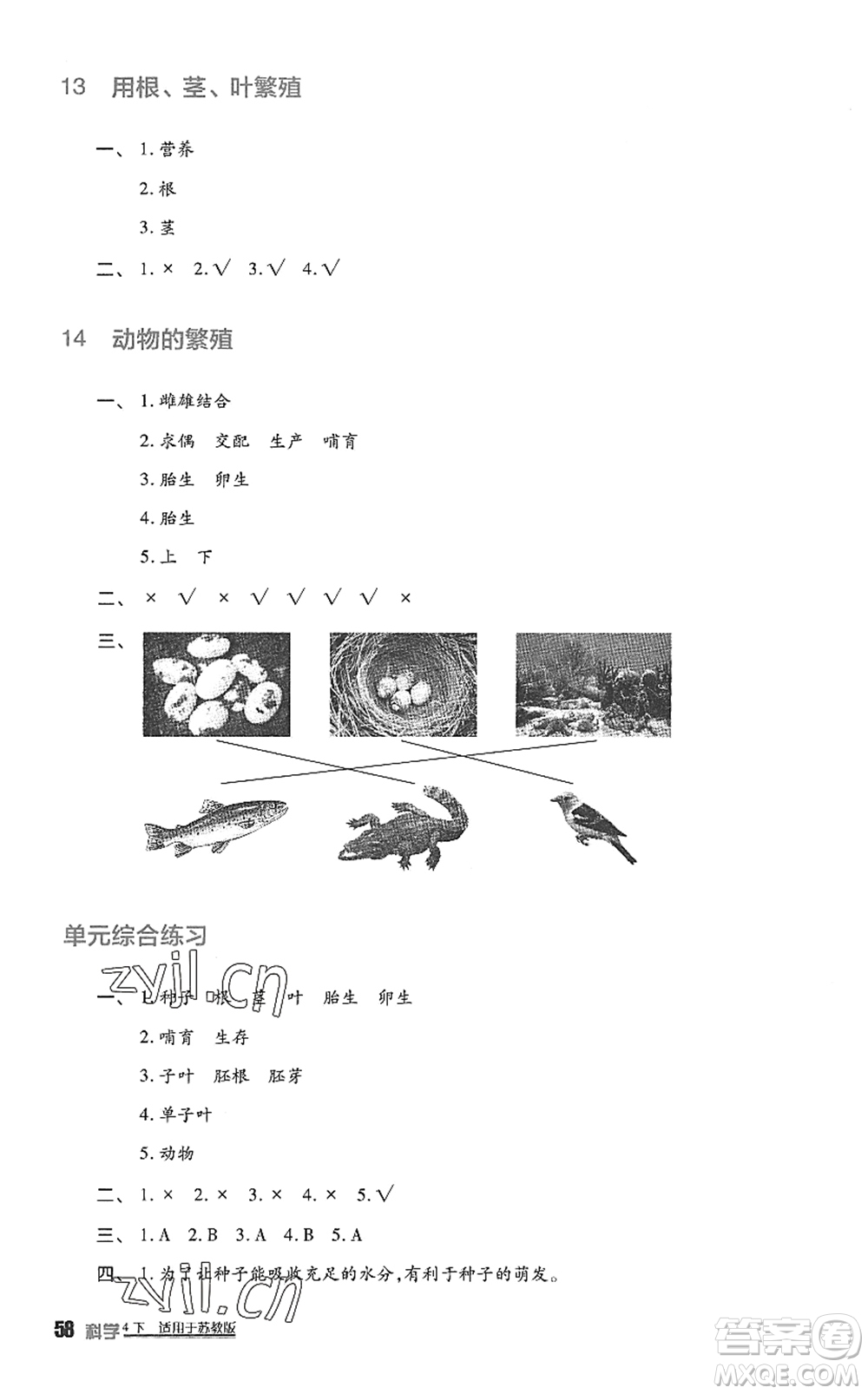 四川教育出版社2022新課標小學生學習實踐園地四年級科學下冊蘇教版答案