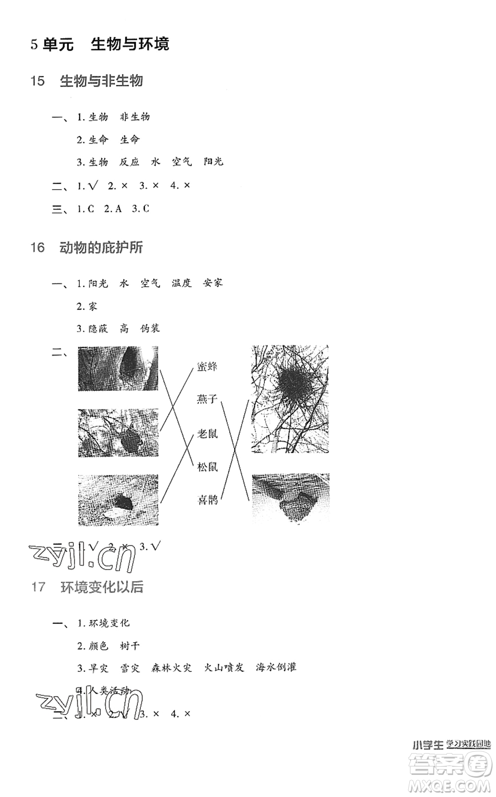 四川教育出版社2022新課標小學生學習實踐園地四年級科學下冊蘇教版答案