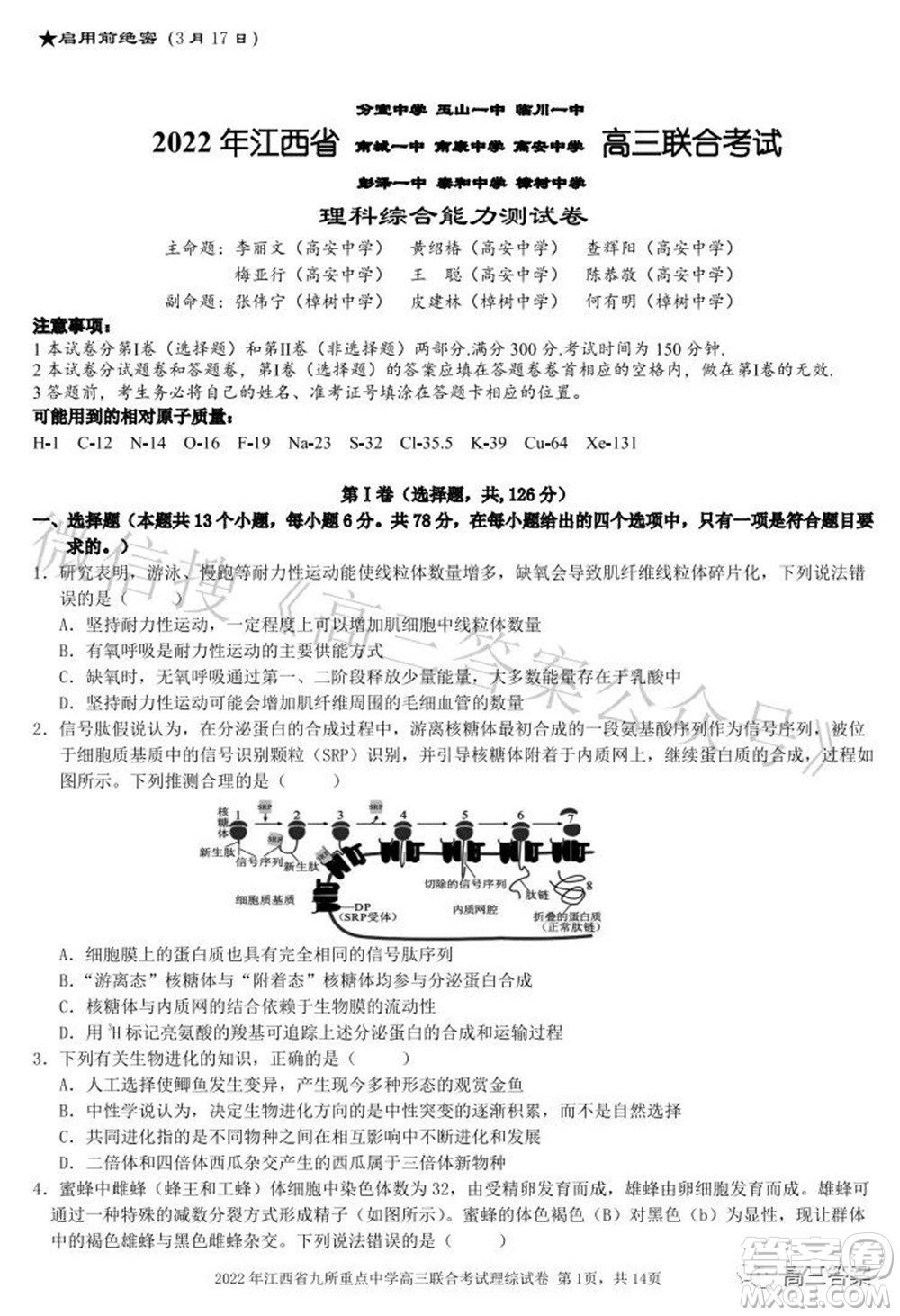 2022年江西省九校高三聯合考試理科綜合試題及答案