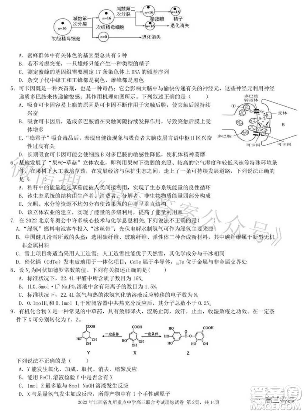 2022年江西省九校高三聯合考試理科綜合試題及答案