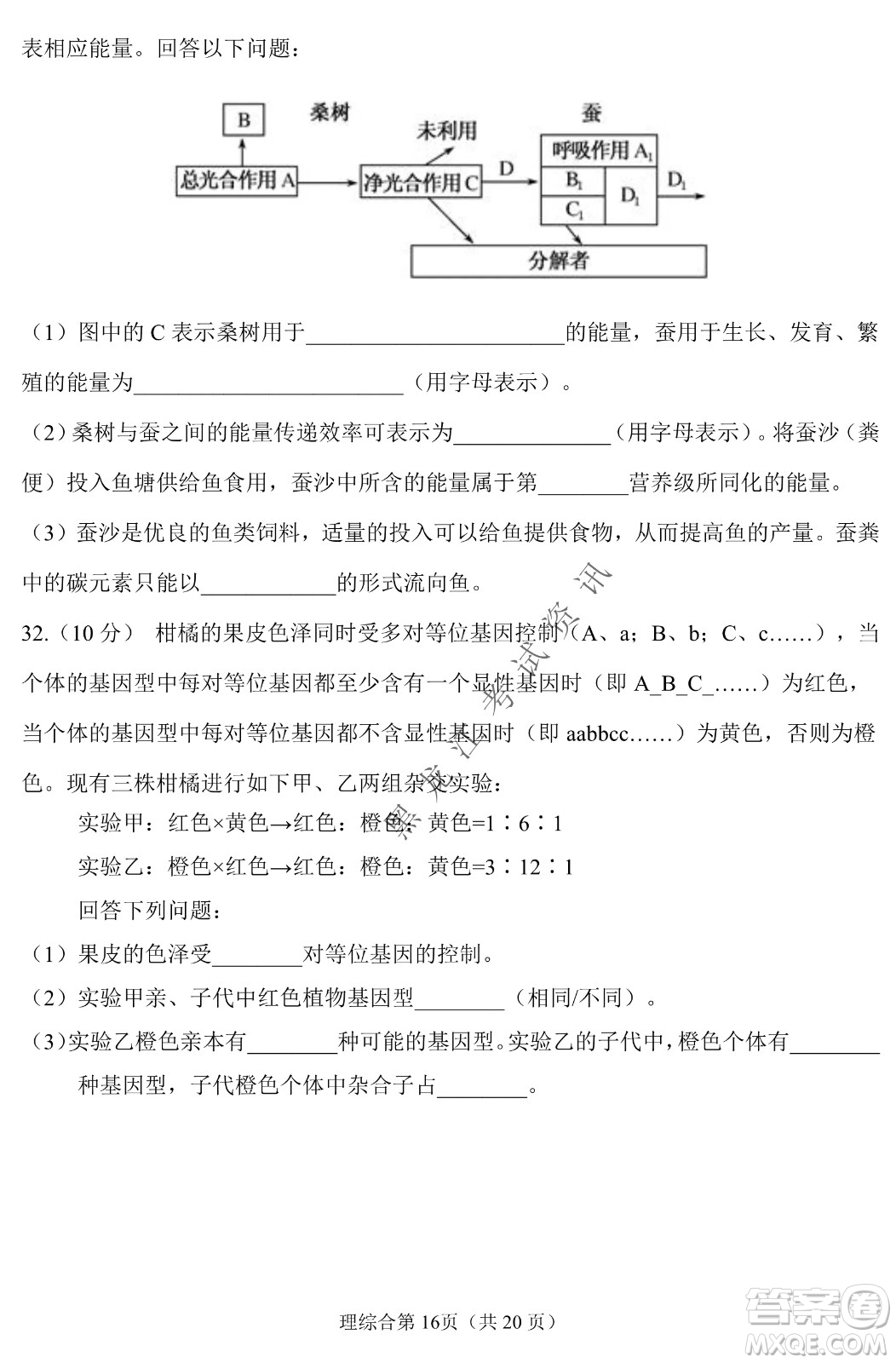 長春外國語學(xué)校2021-2022學(xué)年高三年級下學(xué)期開學(xué)測試?yán)砭C試卷及答案