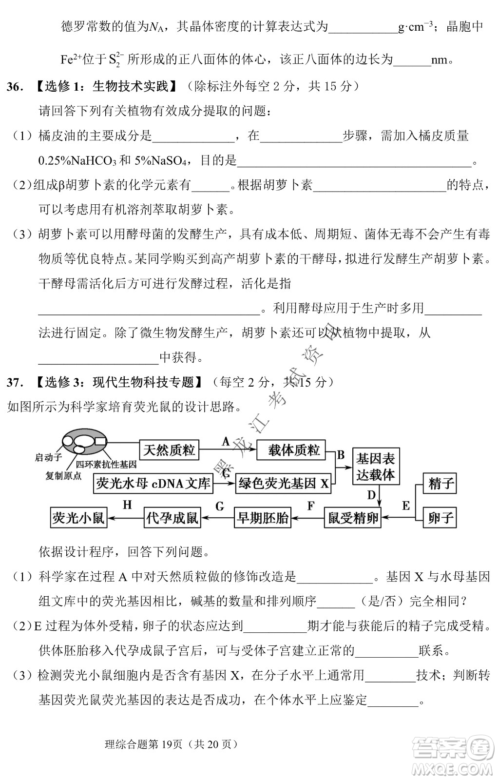 長春外國語學(xué)校2021-2022學(xué)年高三年級下學(xué)期開學(xué)測試?yán)砭C試卷及答案