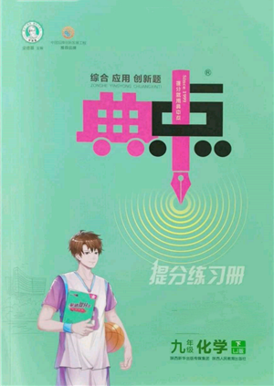 陜西人民教育出版社2022典中點綜合應(yīng)用創(chuàng)新題九年級化學(xué)下冊人教版參考答案