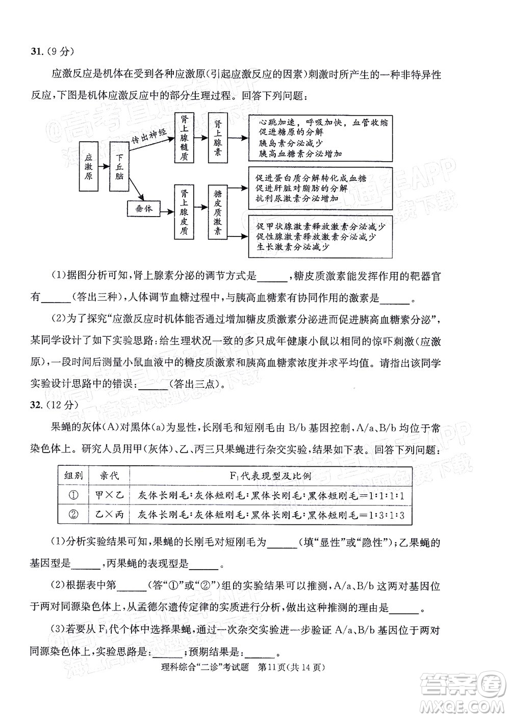 成都市2019級(jí)高中畢業(yè)班第二次診斷性檢測(cè)理科綜合試題及答案