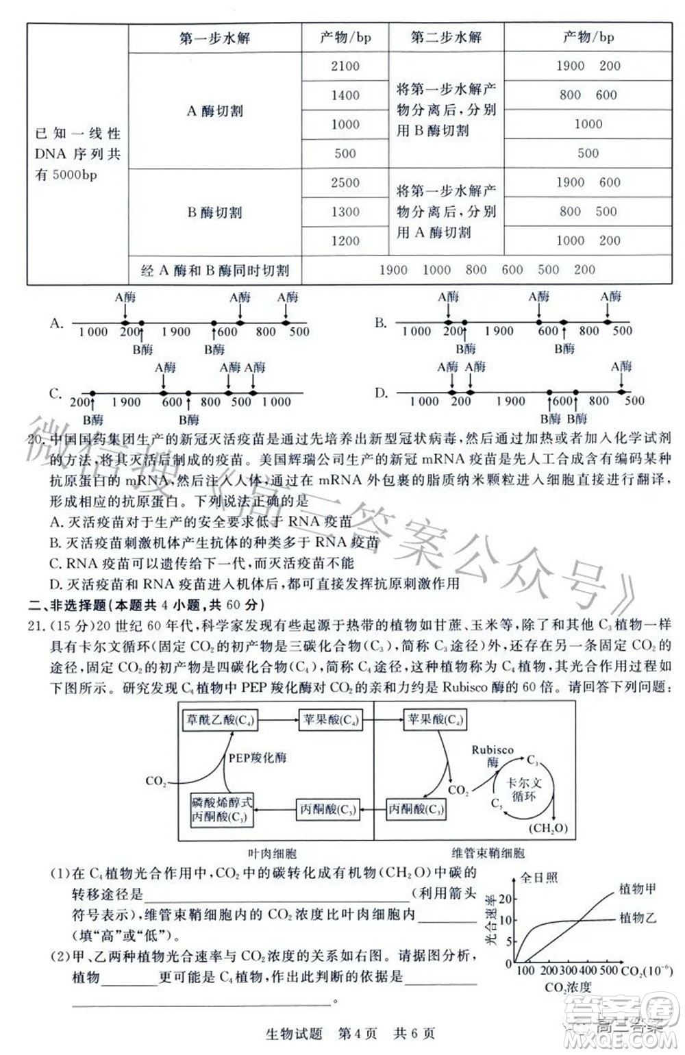 2022屆高三第二次T8聯(lián)考生物試題及答案