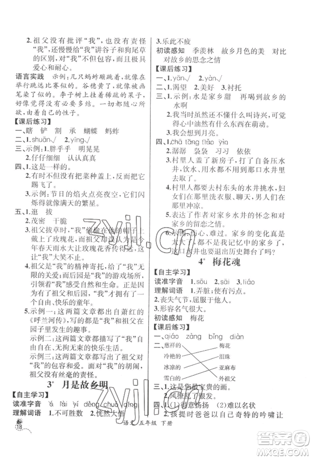 云南科技出版社2022同步解析與測(cè)評(píng)五年級(jí)下冊(cè)語(yǔ)文人教版云南專版參考答案