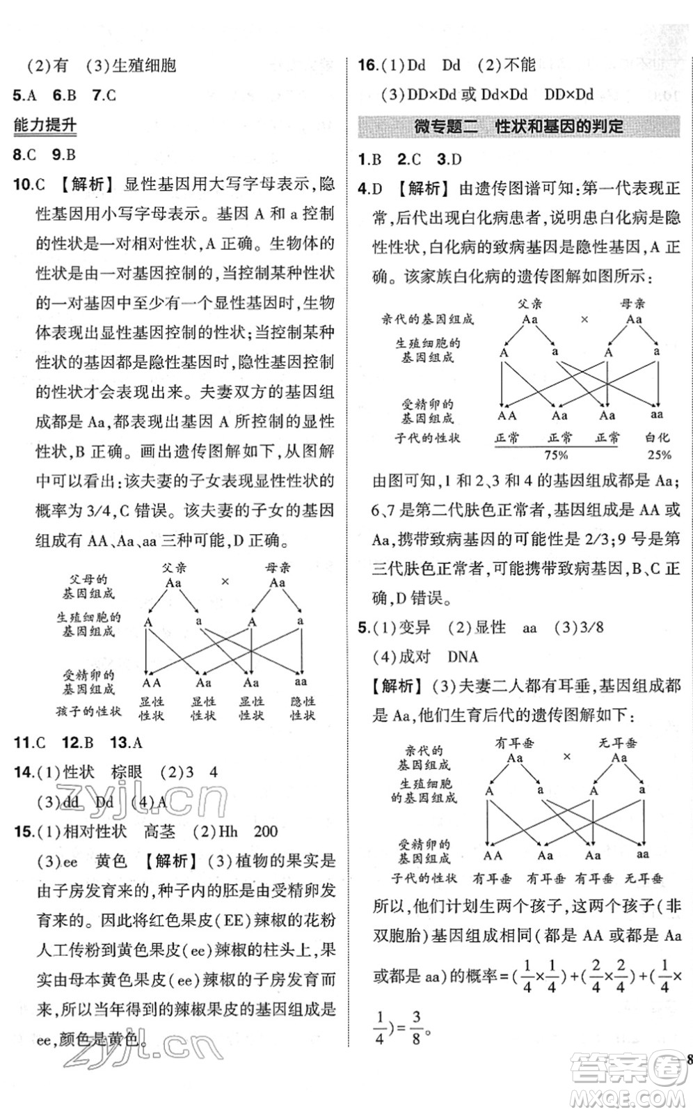 武漢出版社2022狀元成才路創(chuàng)優(yōu)作業(yè)八年級生物下冊R人教版答案