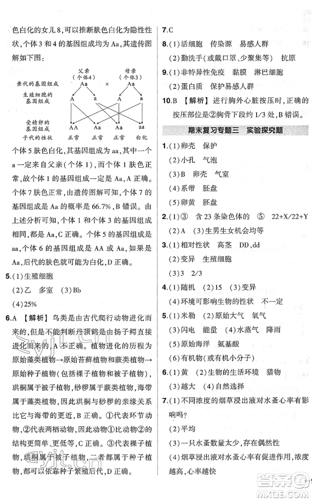 武漢出版社2022狀元成才路創(chuàng)優(yōu)作業(yè)八年級生物下冊R人教版答案