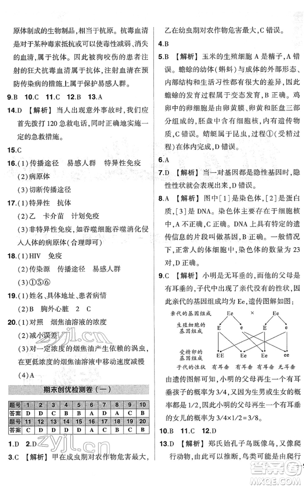 武漢出版社2022狀元成才路創(chuàng)優(yōu)作業(yè)八年級生物下冊R人教版答案