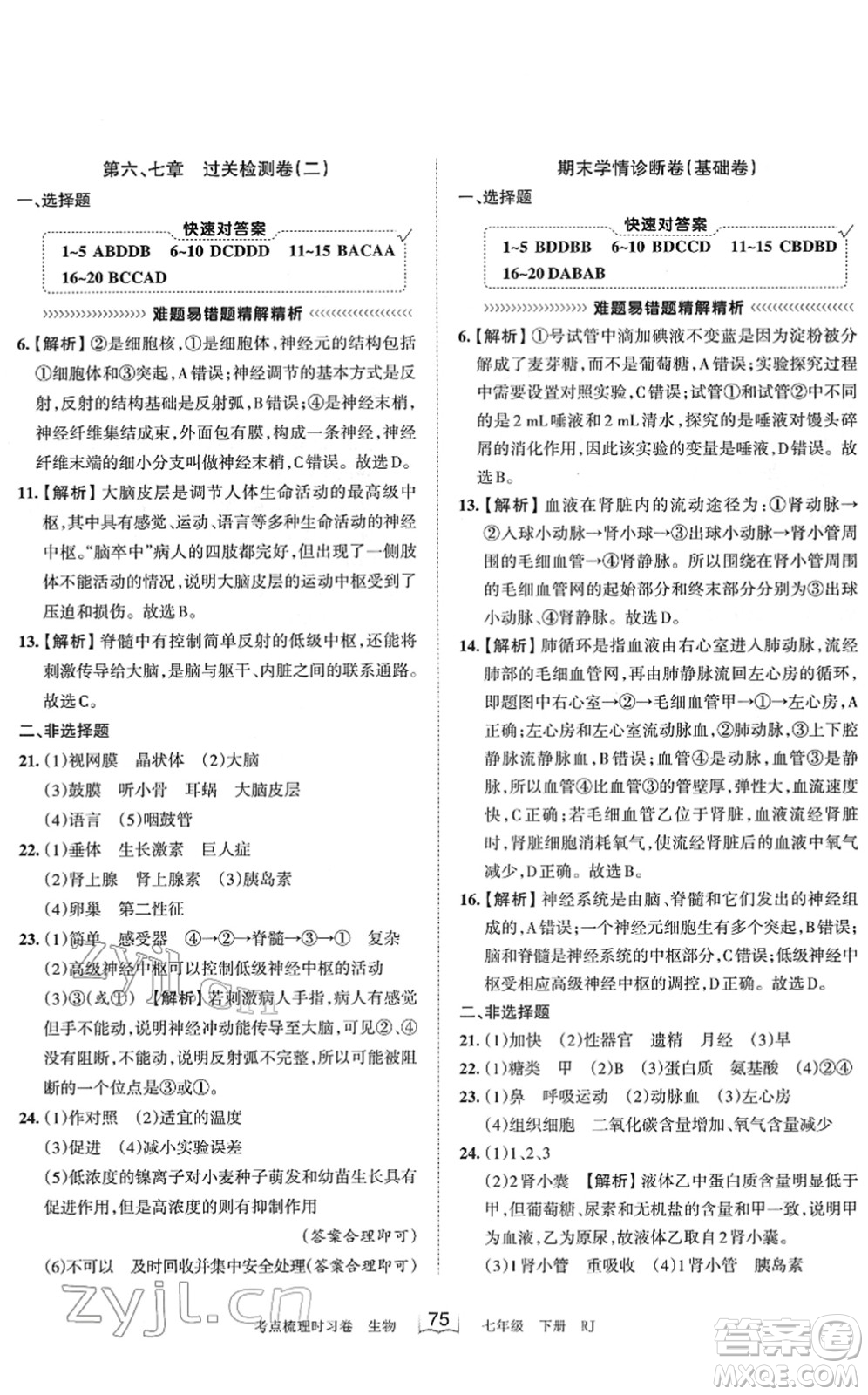 江西人民出版社2022王朝霞考點梳理時習(xí)卷七年級生物下冊RJ人教版答案