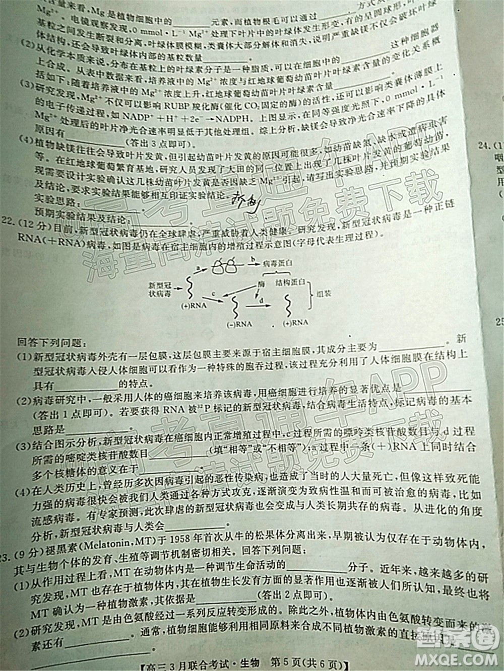 暢學無憂遼寧2022屆高三3月聯(lián)合考試生物試題及答案