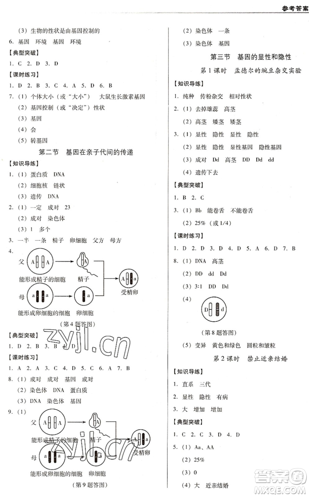 遼海出版社2022全優(yōu)點(diǎn)練課計(jì)劃八年級(jí)生物下冊(cè)RJ人教版答案