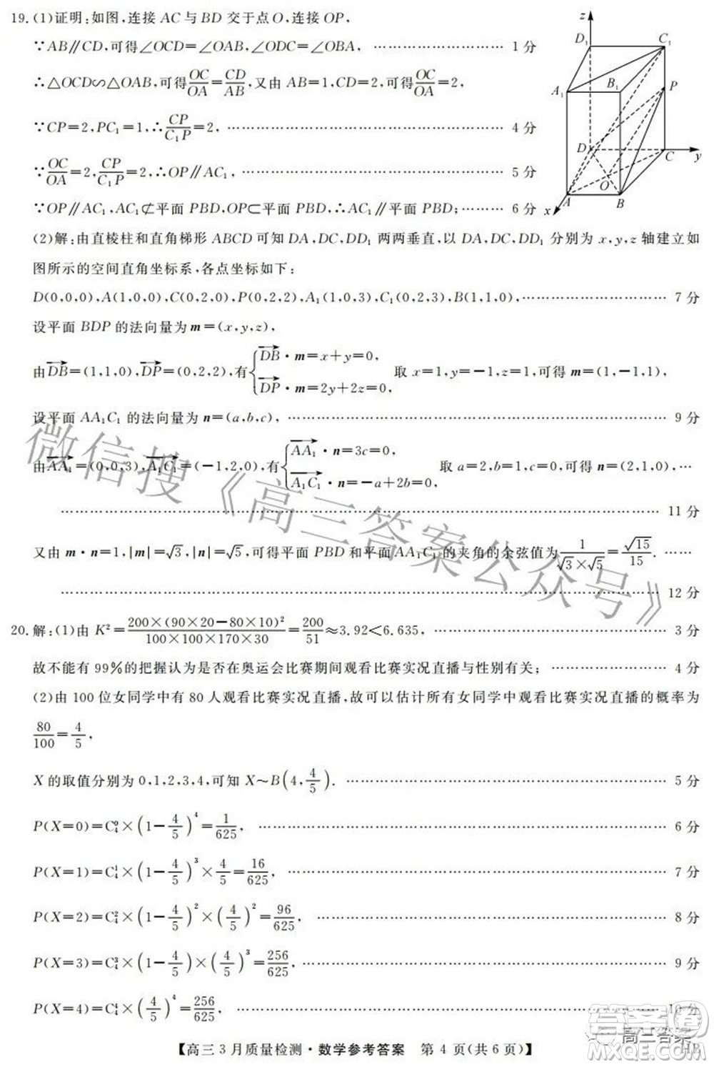 金科大聯(lián)考2021-2022學(xué)年高三3月質(zhì)量檢測(cè)數(shù)學(xué)試題及答案