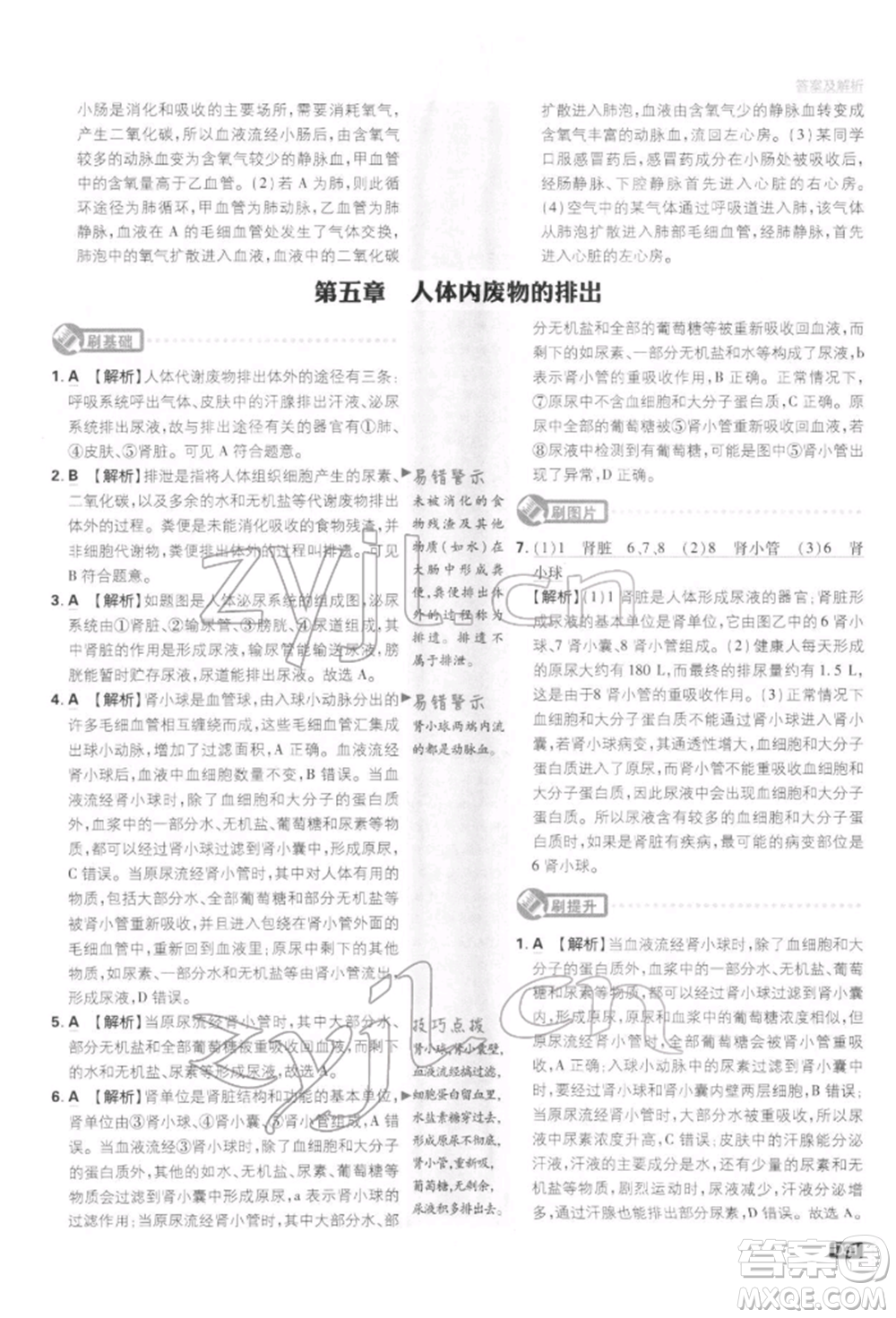 開明出版社2022初中必刷題七年級生物下冊人教版參考答案