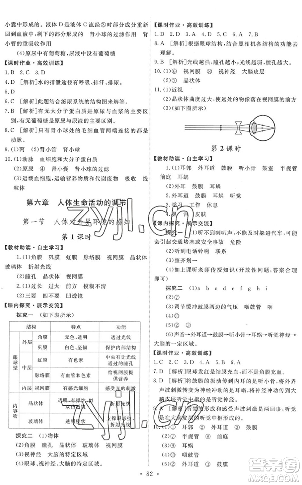 人民教育出版社2022能力培養(yǎng)與測試七年級(jí)生物下冊(cè)人教版湖南專版答案