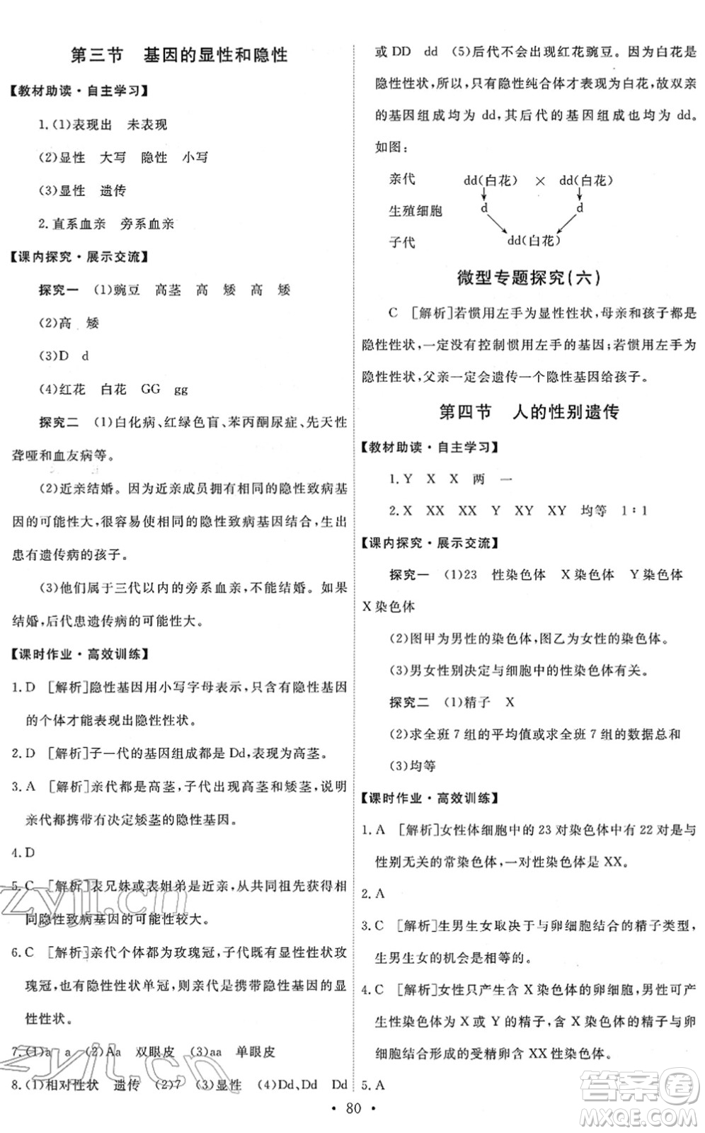 人民教育出版社2022能力培養(yǎng)與測試八年級生物下冊人教版答案