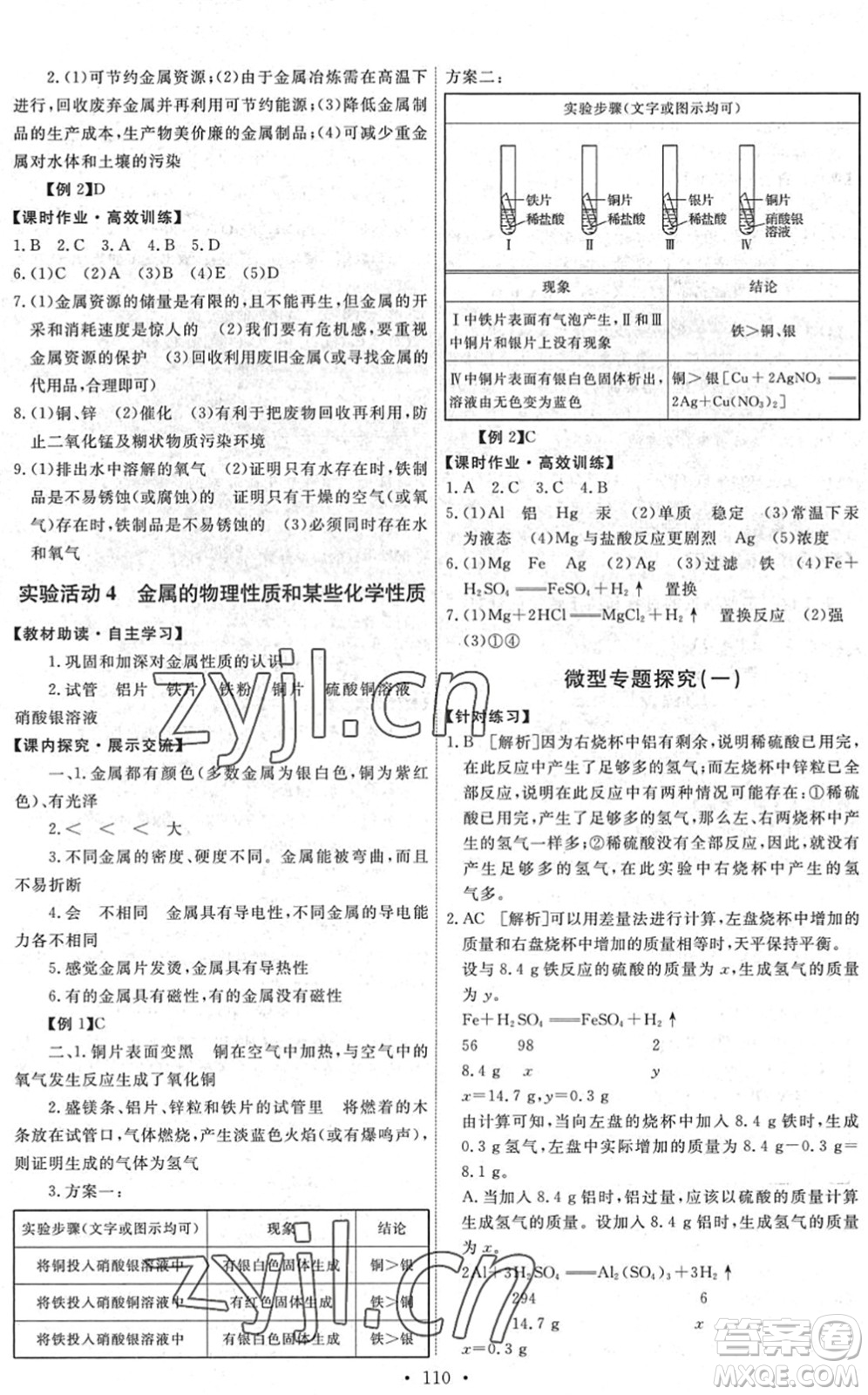 人民教育出版社2022能力培養(yǎng)與測試九年級化學(xué)下冊人教版湖南專版答案