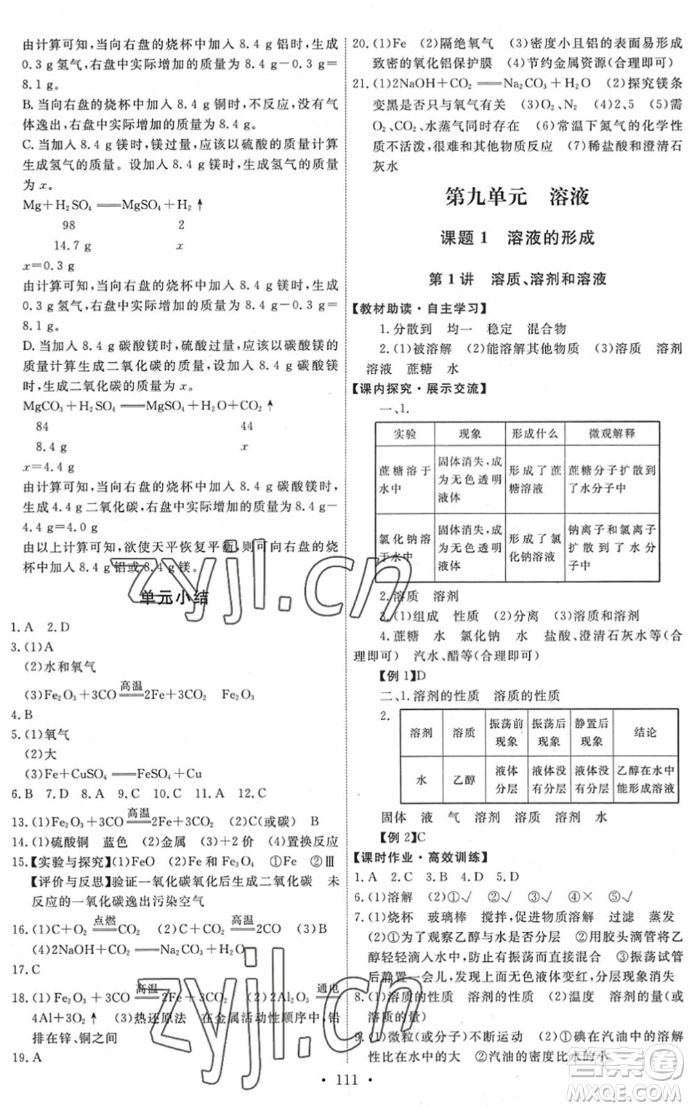 人民教育出版社2022能力培養(yǎng)與測試九年級化學(xué)下冊人教版湖南專版答案