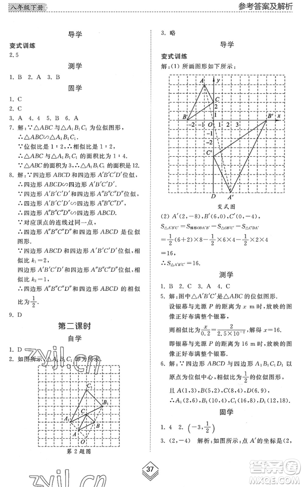 山東人民出版社2022綜合能力訓(xùn)練八年級數(shù)學(xué)下冊魯教版五四學(xué)制答案