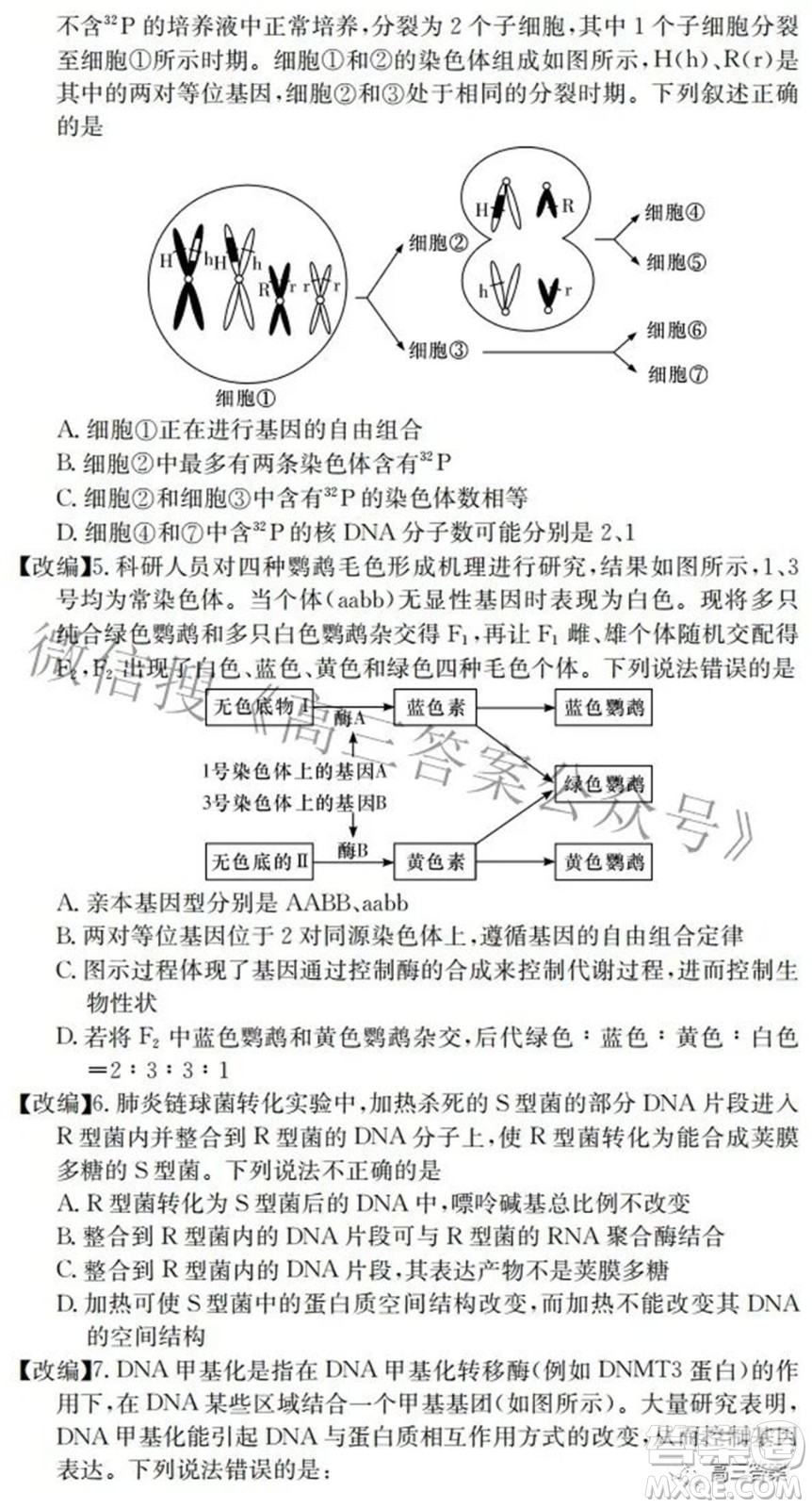 2022屆高三湖南四大名校名師團隊周模卷1生物試題及答案