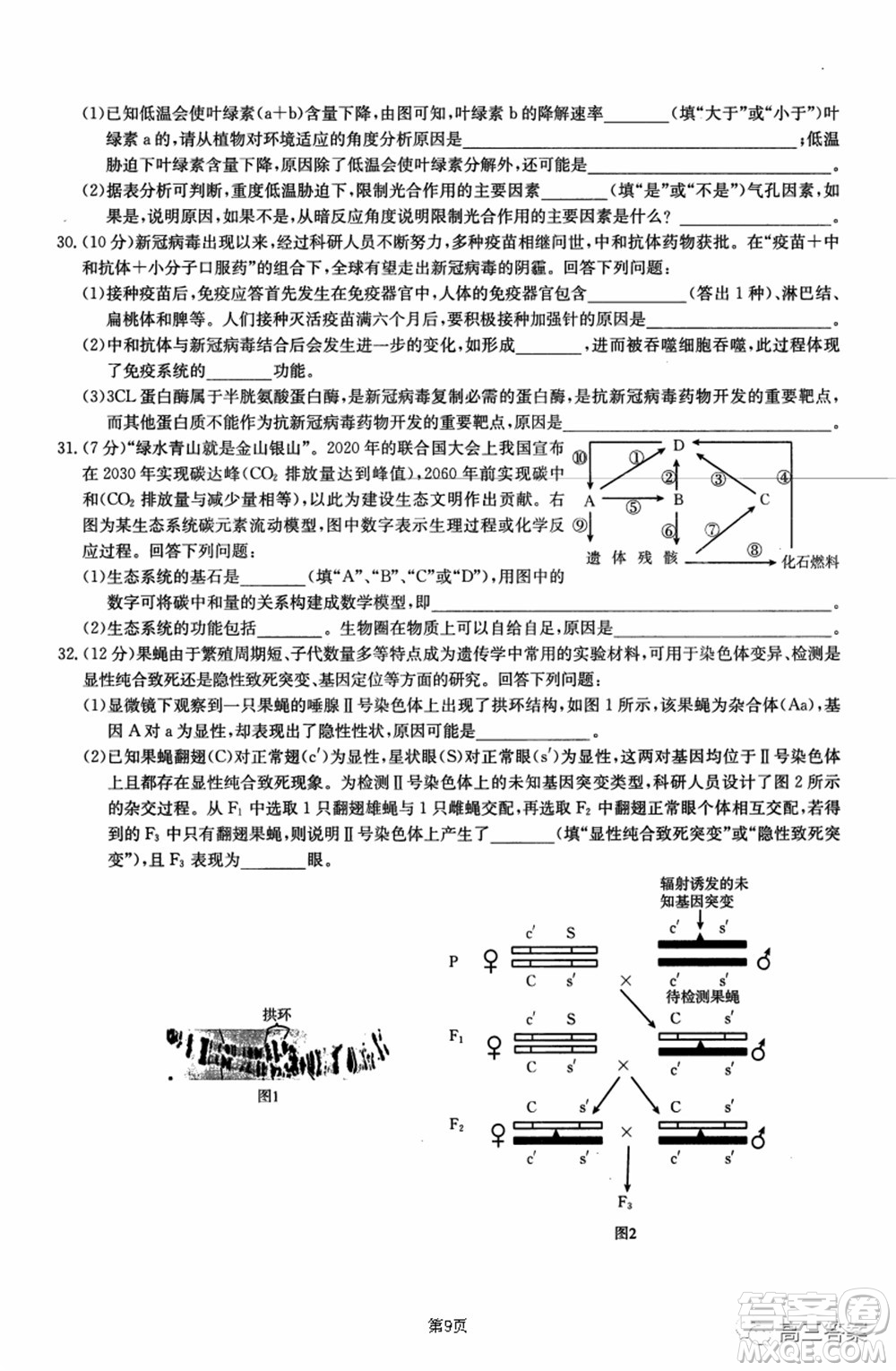 2021-2022年昌吉學(xué)聯(lián)體第三次高三年級(jí)高考適應(yīng)性考試?yán)砜凭C合試題及答案