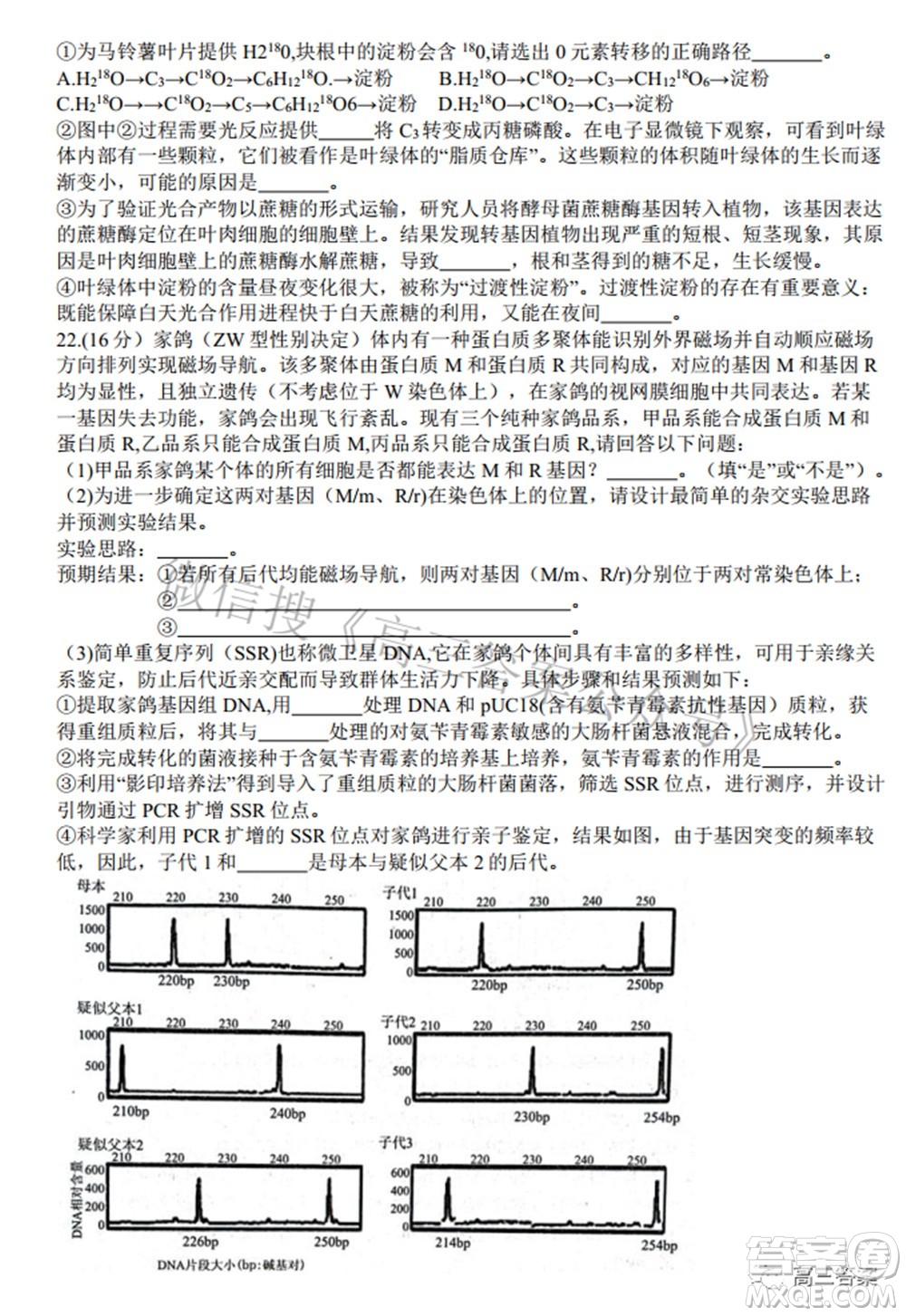 2022年湖北省八市高三3月聯(lián)考生物試題及答案