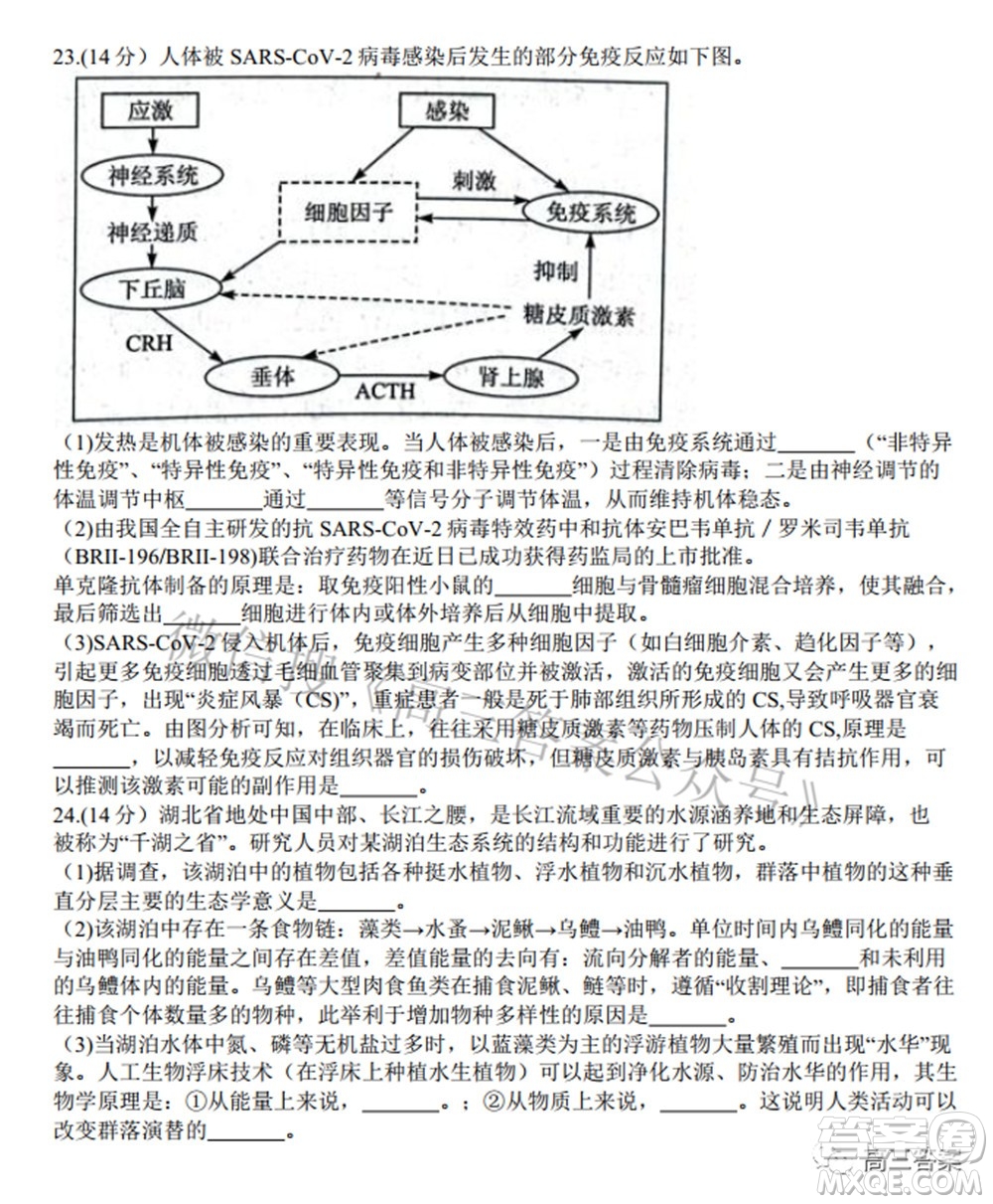 2022年湖北省八市高三3月聯(lián)考生物試題及答案