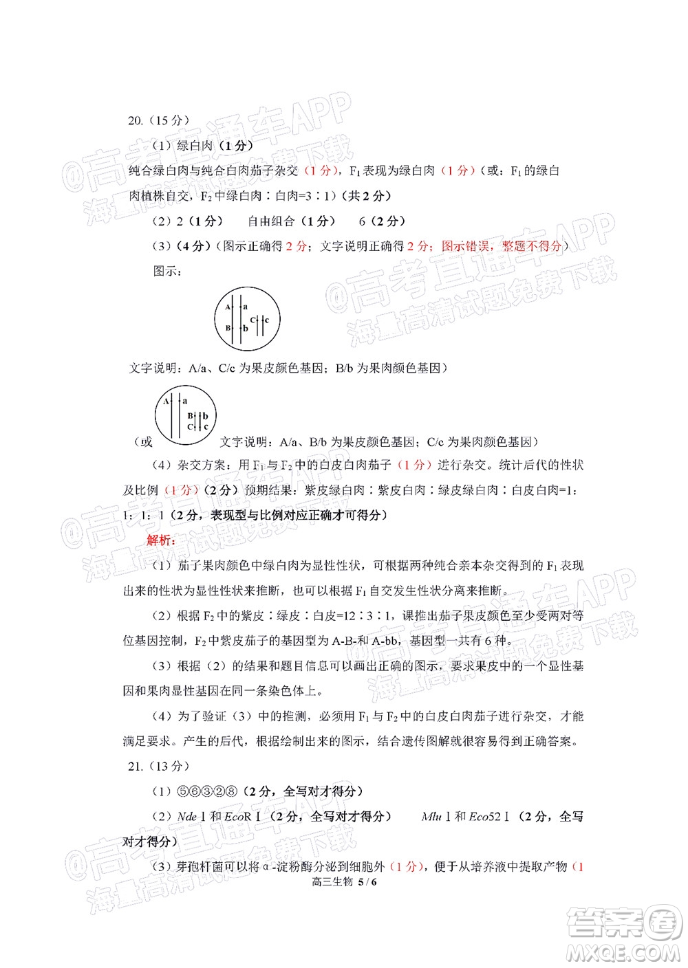 福建省部分地市2022屆高三畢業(yè)班4月診斷性聯(lián)考生物試題及答案