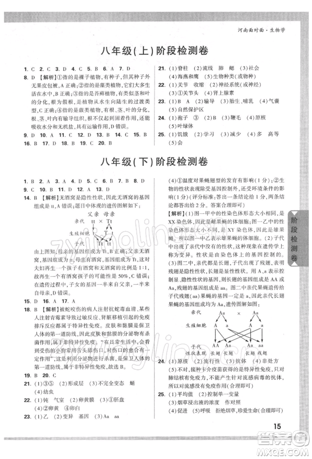 新疆青少年出版社2022中考面對面九年級生物學(xué)通用版河南專版參考答案