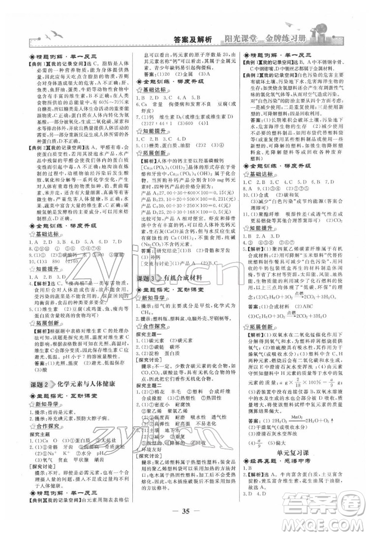 人民教育出版社2022陽(yáng)光課堂金牌練習(xí)冊(cè)化學(xué)九年級(jí)下冊(cè)人教版答案