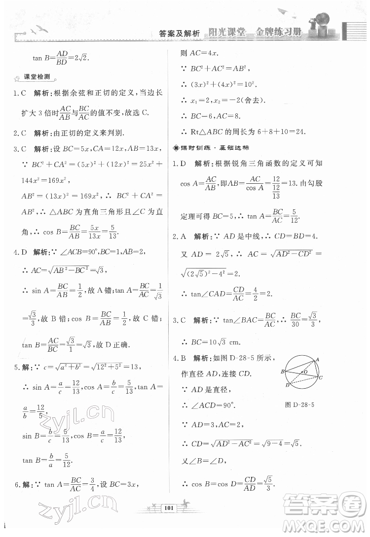 人民教育出版社2022陽光課堂金牌練習冊數(shù)學九年級下冊人教福建專版版答案