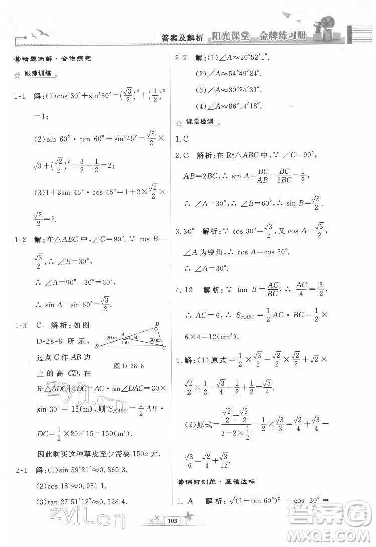 人民教育出版社2022陽光課堂金牌練習冊數(shù)學九年級下冊人教福建專版版答案