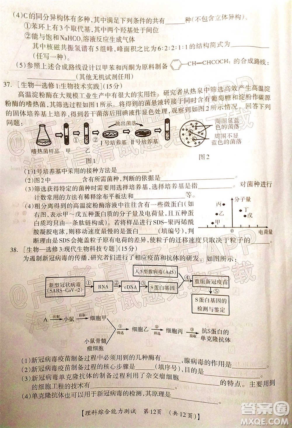 2022高考桂林崇左賀州河池來(lái)賓市聯(lián)合模擬考試?yán)砜凭C合試題及答案