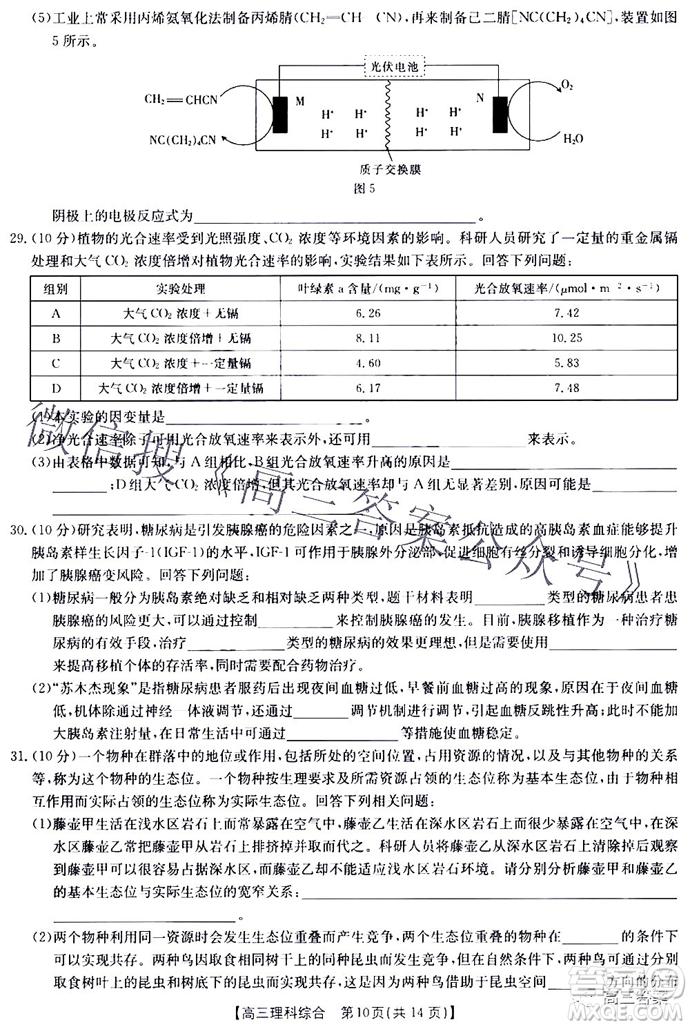 2022年4月金太陽高三聯考理科綜合試題及答案