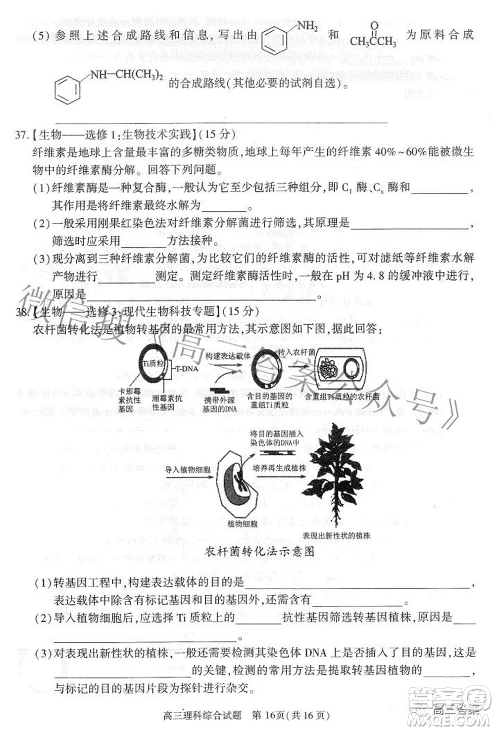 合肥市2022年高三第二次教學(xué)質(zhì)量檢測(cè)理科綜合試題及答案