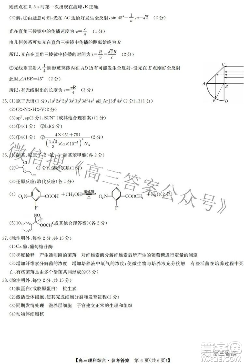 2022九師聯(lián)盟高三4月質(zhì)量監(jiān)測理科綜合試題及答案