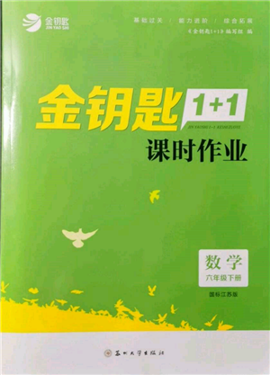 蘇州大學(xué)出版社2022金鑰匙1+1課時(shí)作業(yè)六年級(jí)下冊(cè)數(shù)學(xué)江蘇版參考答案