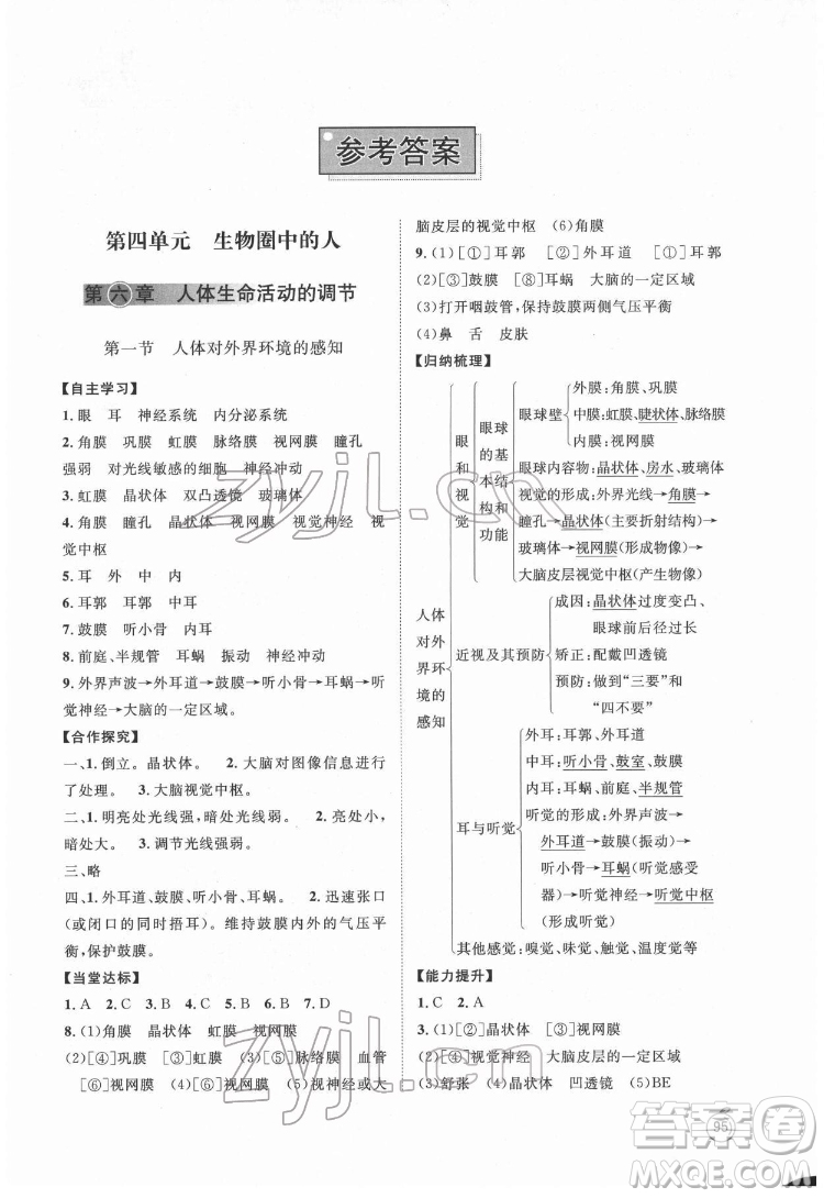 山東教育出版社2022初中同步練習冊生物學七年級下冊魯科版答案