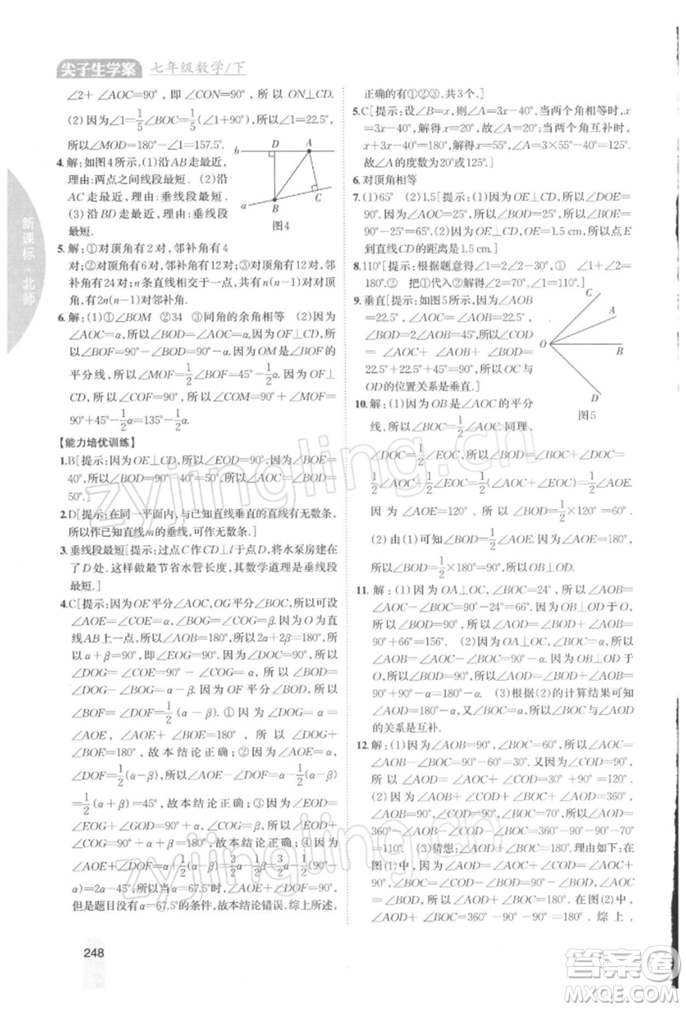 吉林人民出版社2022尖子生學(xué)案七年級下冊數(shù)學(xué)北師大版參考答案