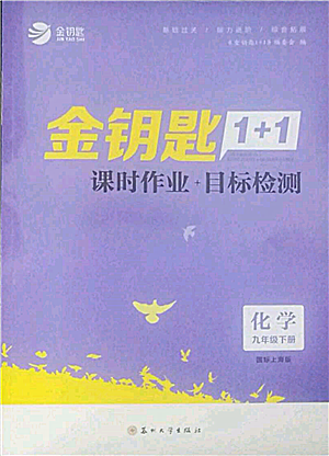 蘇州大學(xué)出版社2022金鑰匙1+1課時作業(yè)目標檢測九年級下冊化學(xué)上海版參考答案