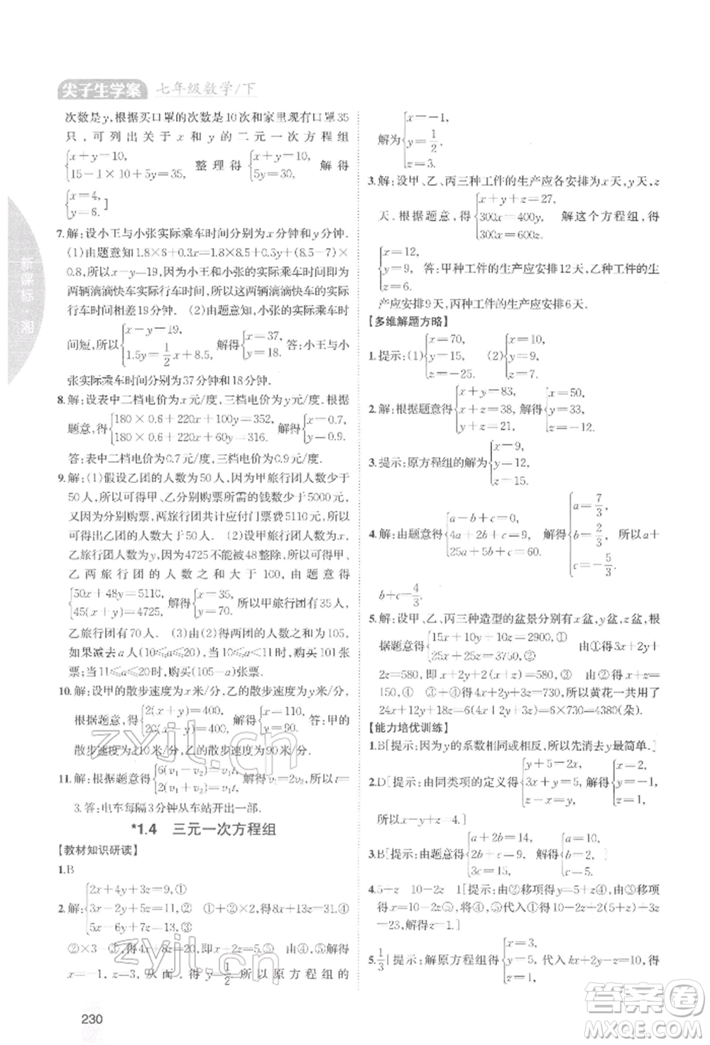 吉林人民出版社2022尖子生學(xué)案七年級下冊數(shù)學(xué)湘教版參考答案