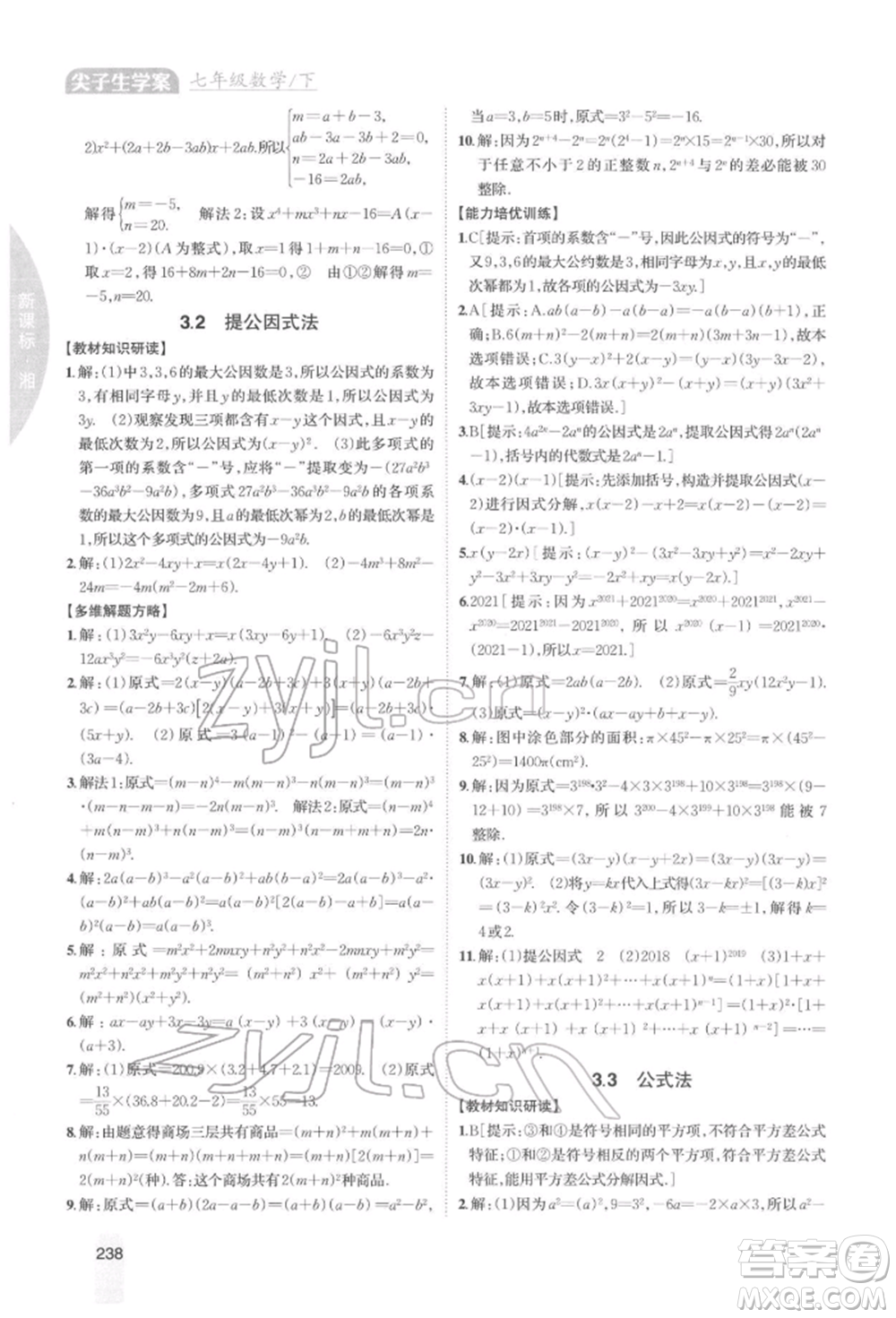 吉林人民出版社2022尖子生學(xué)案七年級下冊數(shù)學(xué)湘教版參考答案