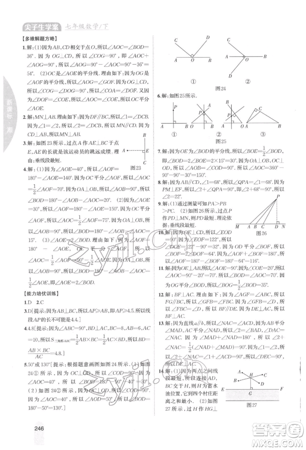 吉林人民出版社2022尖子生學(xué)案七年級下冊數(shù)學(xué)湘教版參考答案