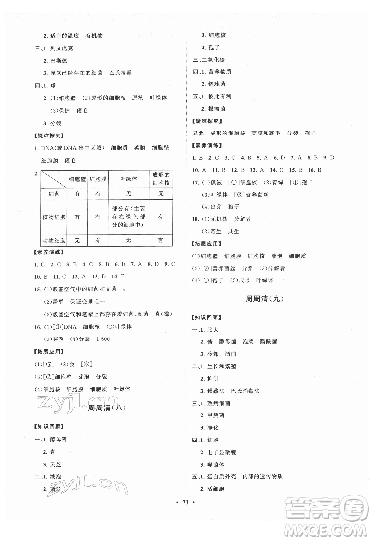 山東教育出版社2022初中同步練習(xí)冊(cè)分層卷生物學(xué)七年級(jí)下冊(cè)五四制魯科版答案